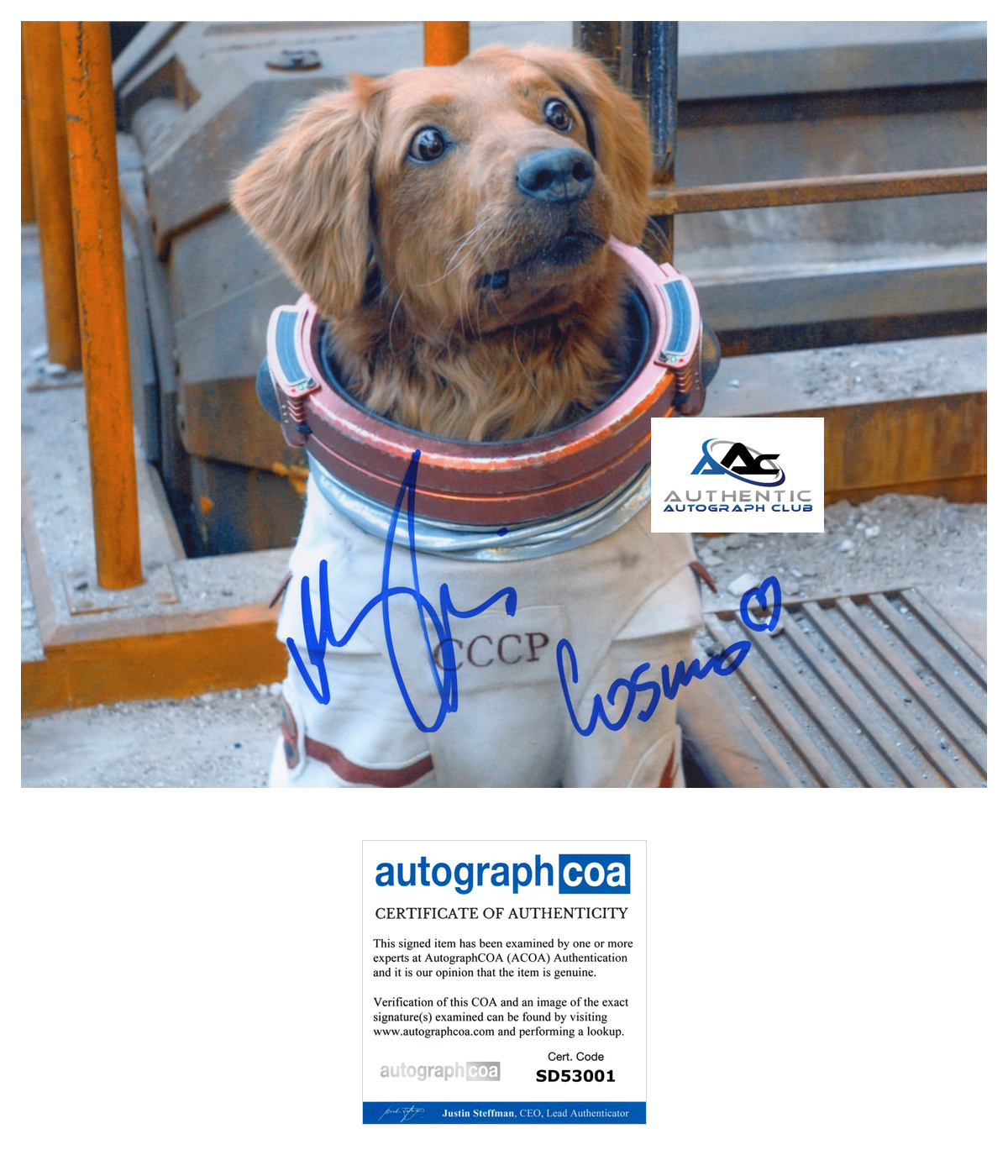 MARIA BAKALOVA AUTOGRAPH SIGNED 8X10 PHOTO COSMO GUARDIANS OF THE GALAXY ACOA