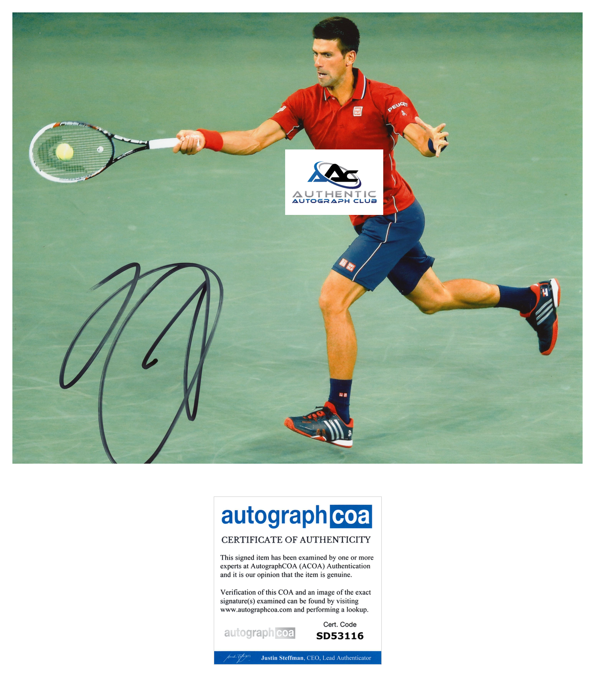 NOVAK DJOKOVIC AUTOGRAPH SIGNED 8X10 PHOTO US OPEN WIMBLEDON TENNIS CHAMPION