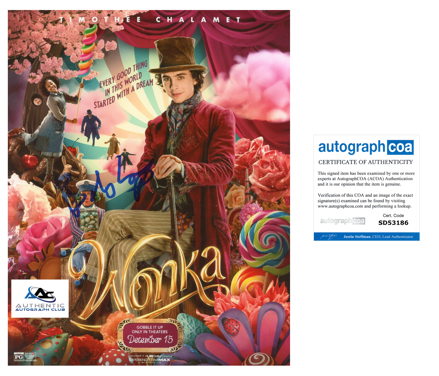 RARE TIMOTHEE CHALAMET AUTOGRAPH SIGNED 8X10 PHOTO WILLY WONKA SIGNED ACOA