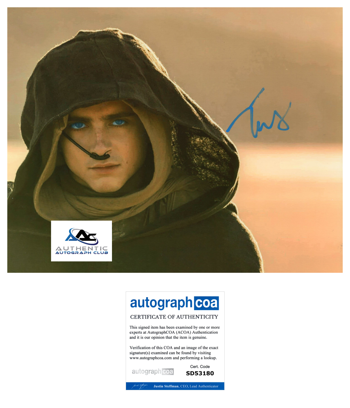 TIMOTHEE CHALAMET AUTOGRAPH SIGNED 8X10 PHOTO DUNE ACOA