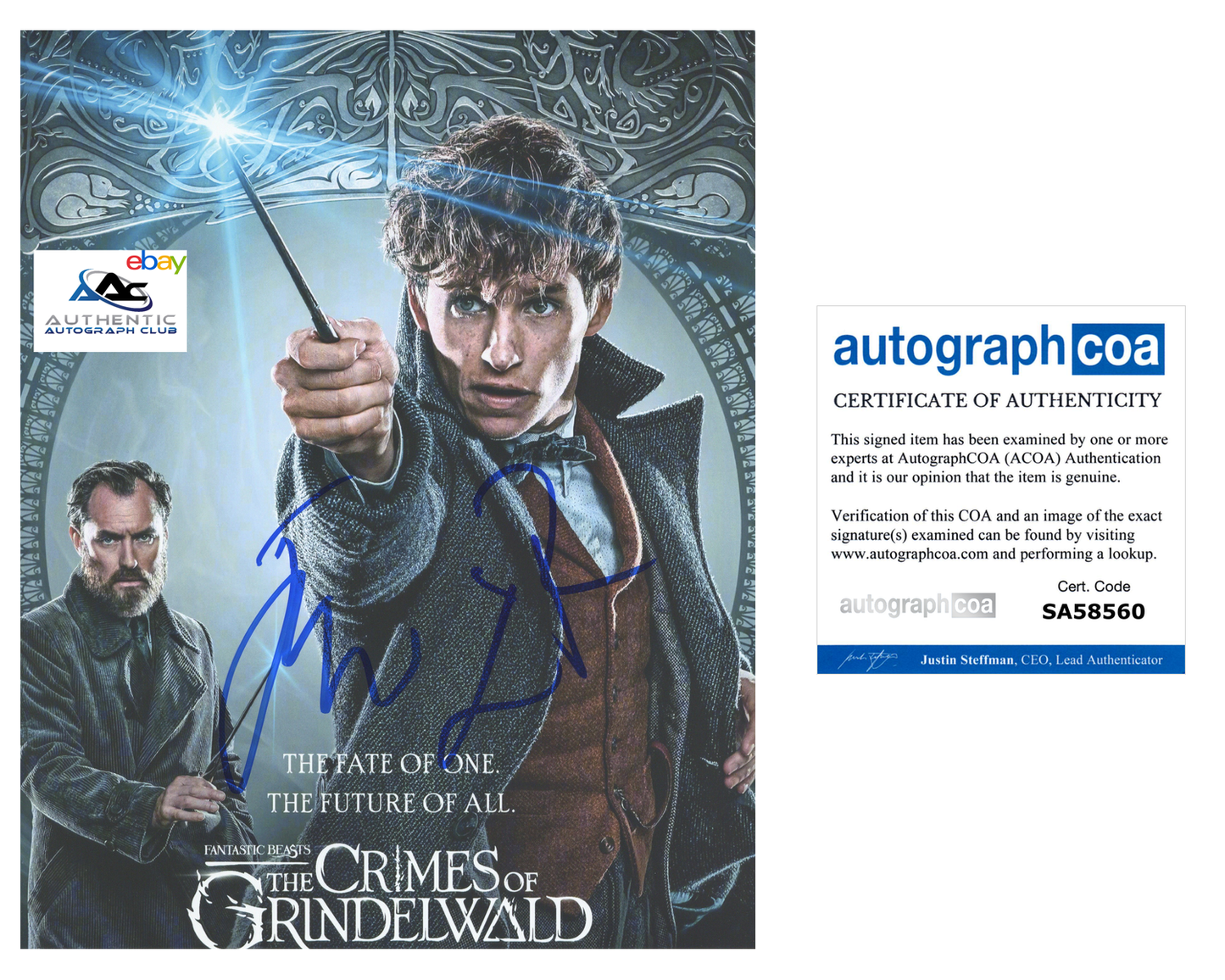 JUDE LAW AND EDDIE REDMAYNE AUTOGRAPH SIGNED 8x10 PHOTO FANTASTIC BEASTS ACOA