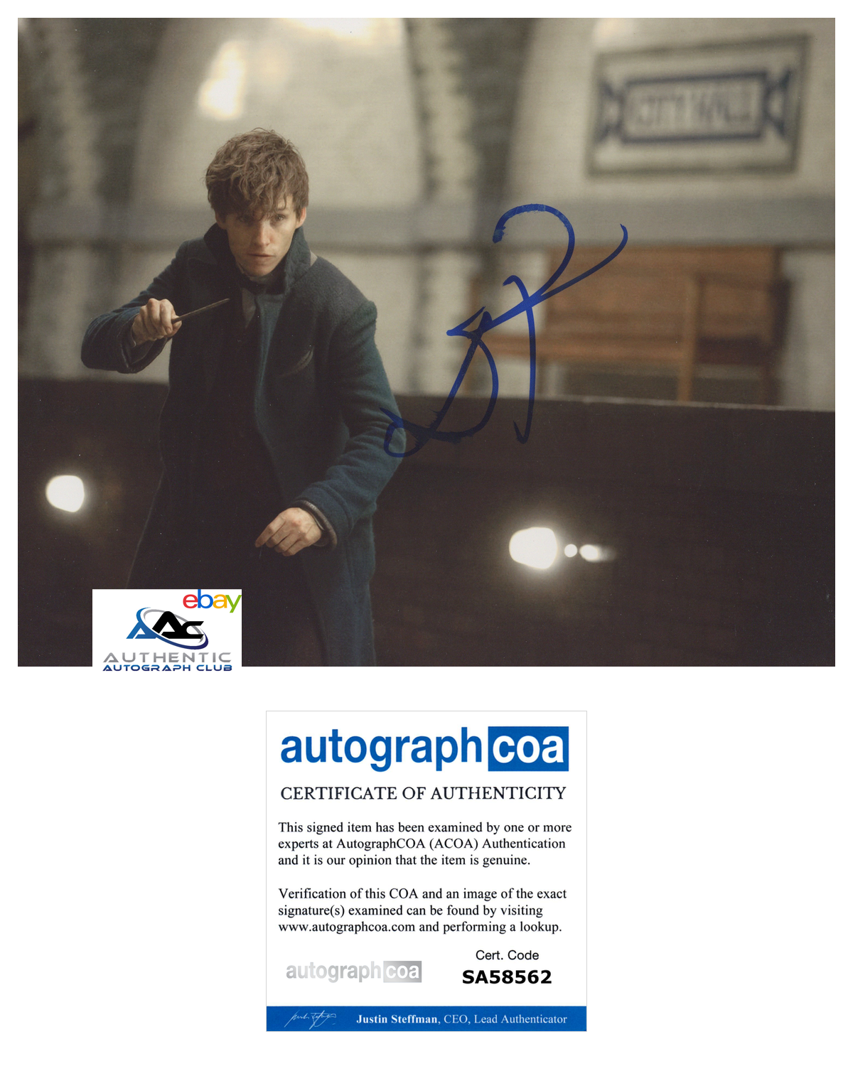 EDDIE REDMAYNE AUTOGRAPH SIGNED 8x10 PHOTO NEWT SCAMANDER FANTASTIC BEASTS ACOA