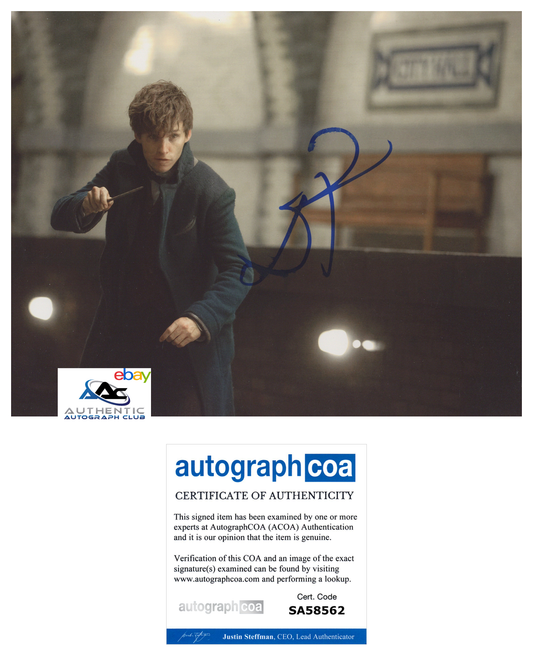 EDDIE REDMAYNE AUTOGRAPH SIGNED 8x10 PHOTO NEWT SCAMANDER FANTASTIC BEASTS ACOA