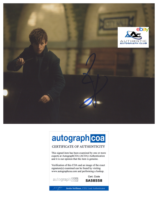 EDDIE REDMAYNE AUTOGRAPH SIGNED 8x10 PHOTO NEWT SCAMANDER FANTASTIC BEASTS ACOA