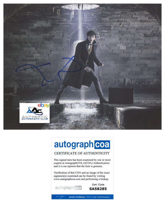 EDDIE REDMAYNE AUTOGRAPH SIGNED 8x10 PHOTO NEWT SCAMANDER FANTASTIC BEASTS ACOA