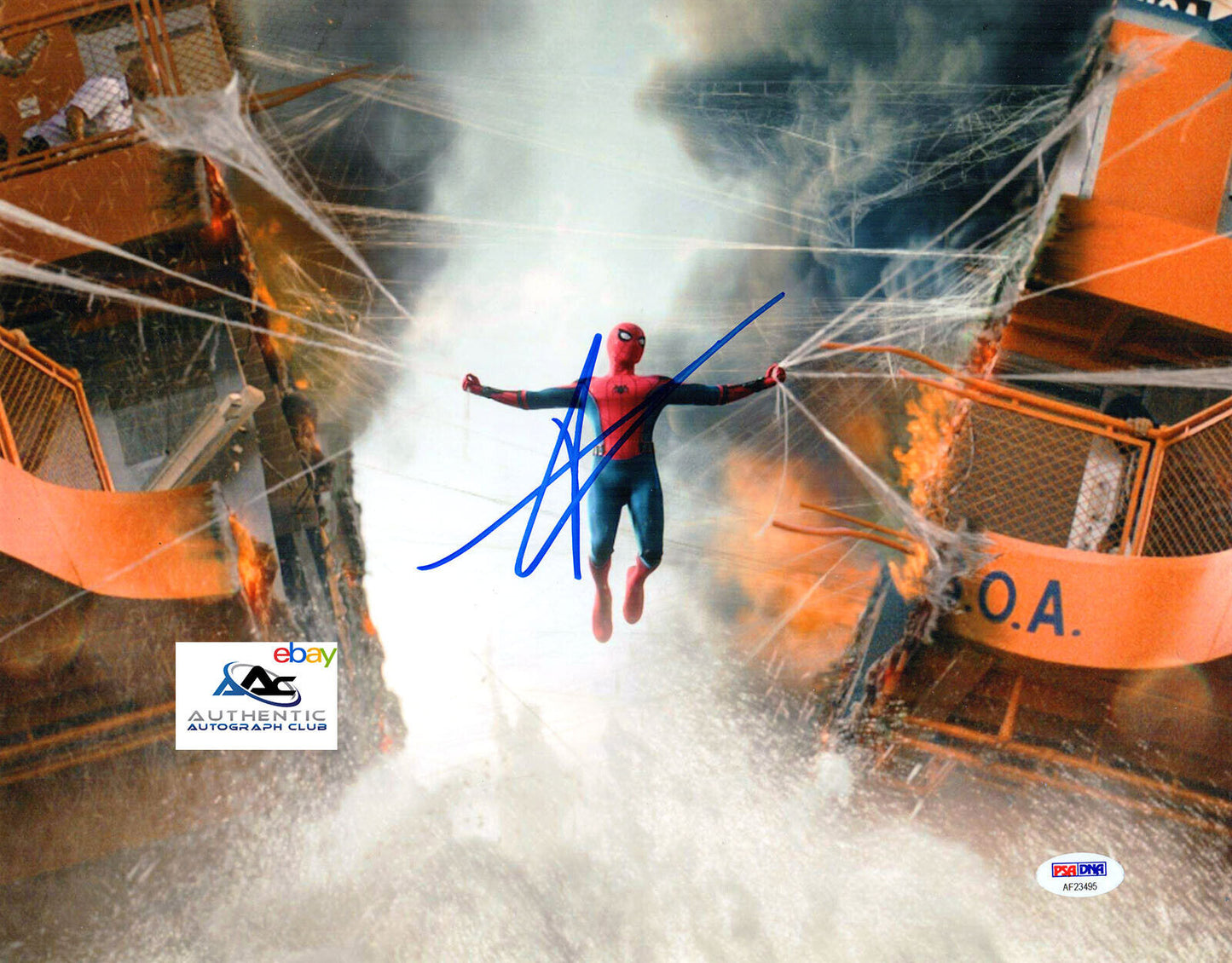 TOM HOLLAND AUTOGRAPH SIGNED 11x14 PHOTO SPIDERMAN SPIDER-MAN HOMECOMING PSA/DNA