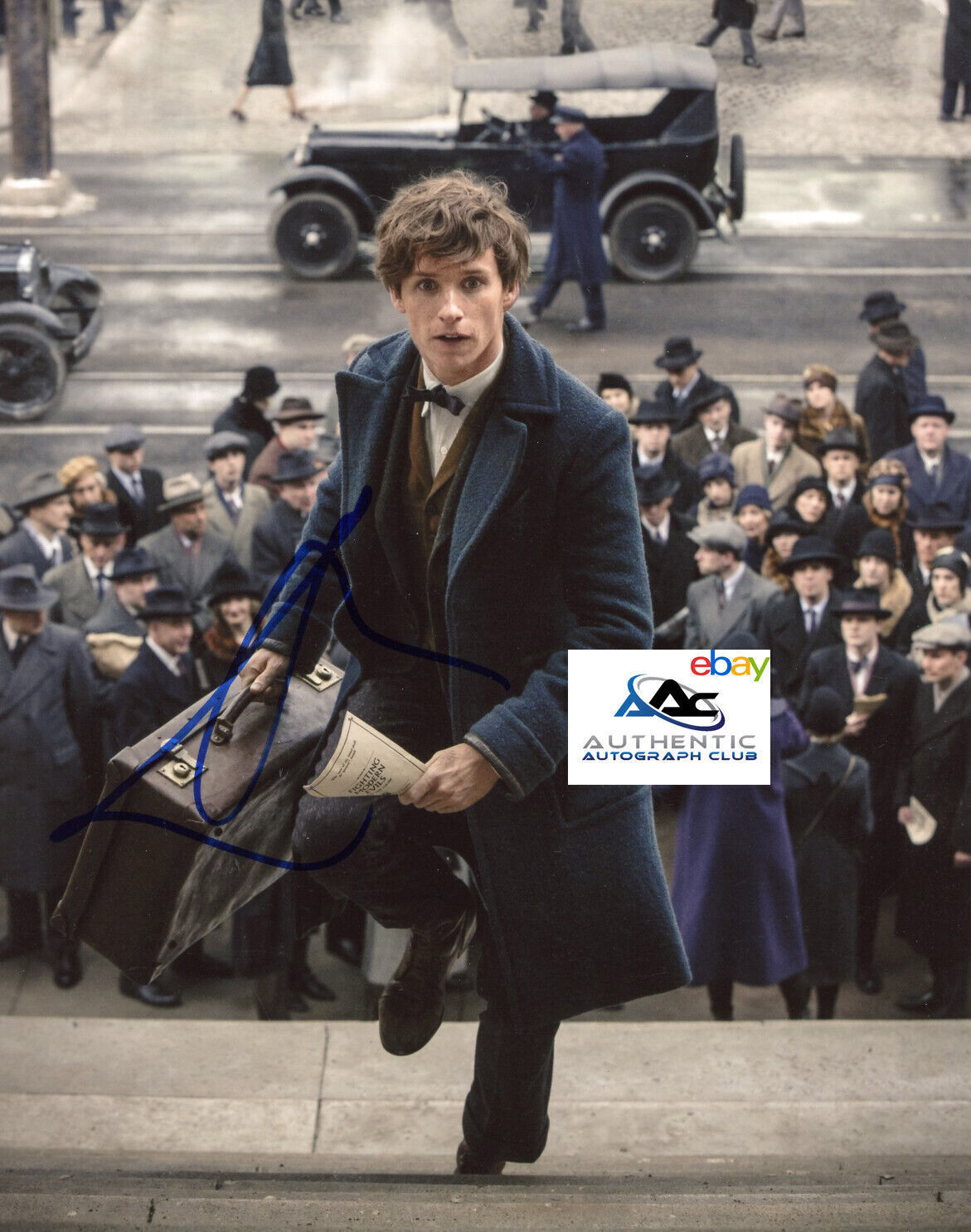 EDDIE REDMAYNE AUTOGRAPH SIGNED 8x10 PHOTO NEWT SCAMANDER FANTASTIC BEASTS COA