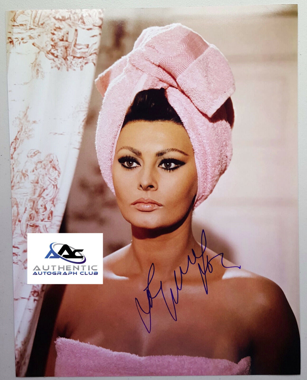 SOPHIA LOREN AUTOGRAPH SIGNED 11x14 PHOTO COA