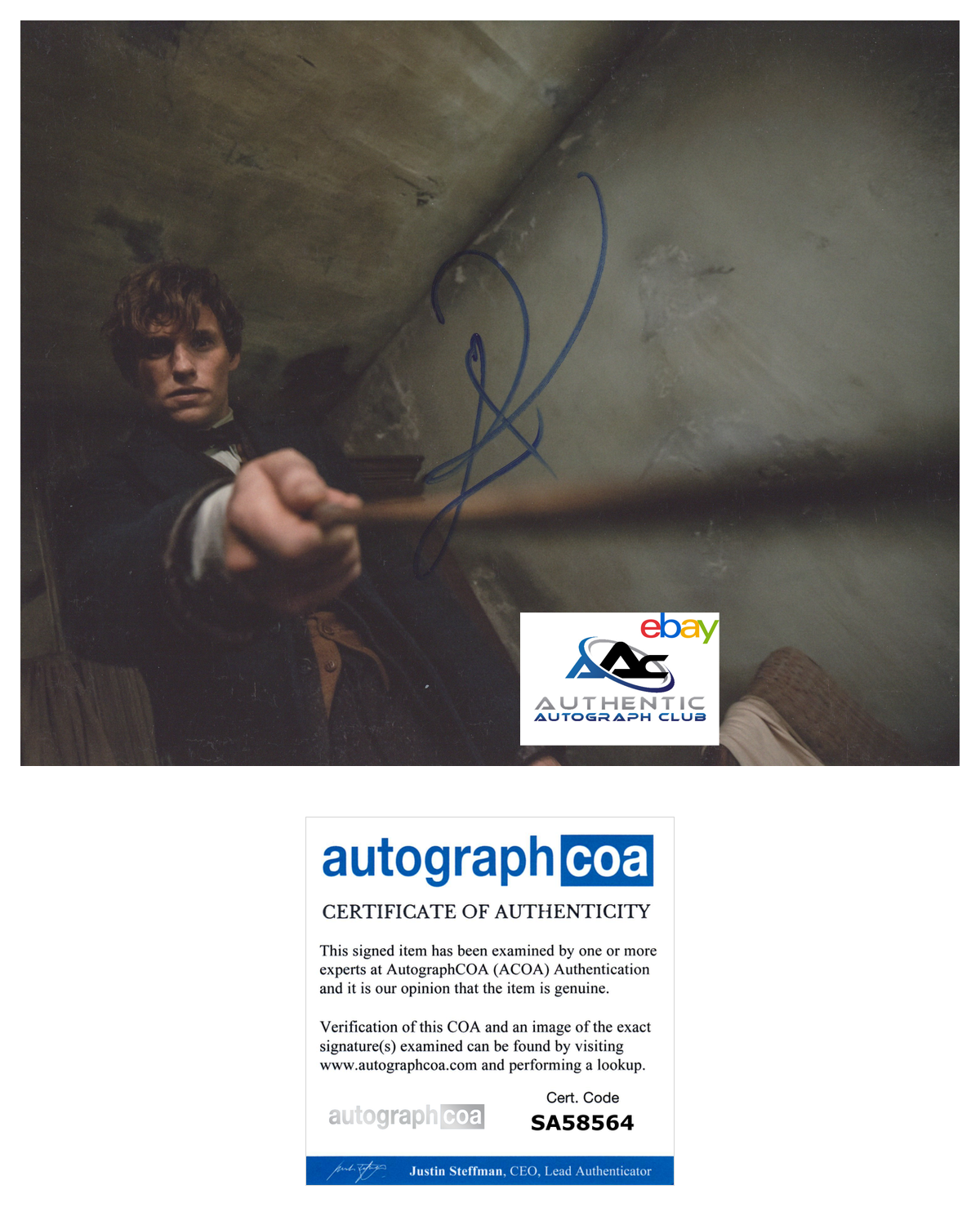 EDDIE REDMAYNE AUTOGRAPH SIGNED 8x10 PHOTO NEWT SCAMANDER FANTASTIC BEASTS ACOA