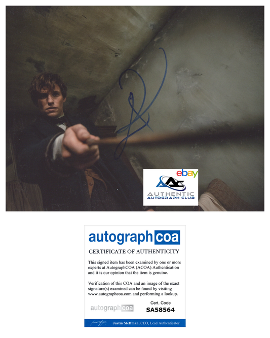 EDDIE REDMAYNE AUTOGRAPH SIGNED 8x10 PHOTO NEWT SCAMANDER FANTASTIC BEASTS ACOA