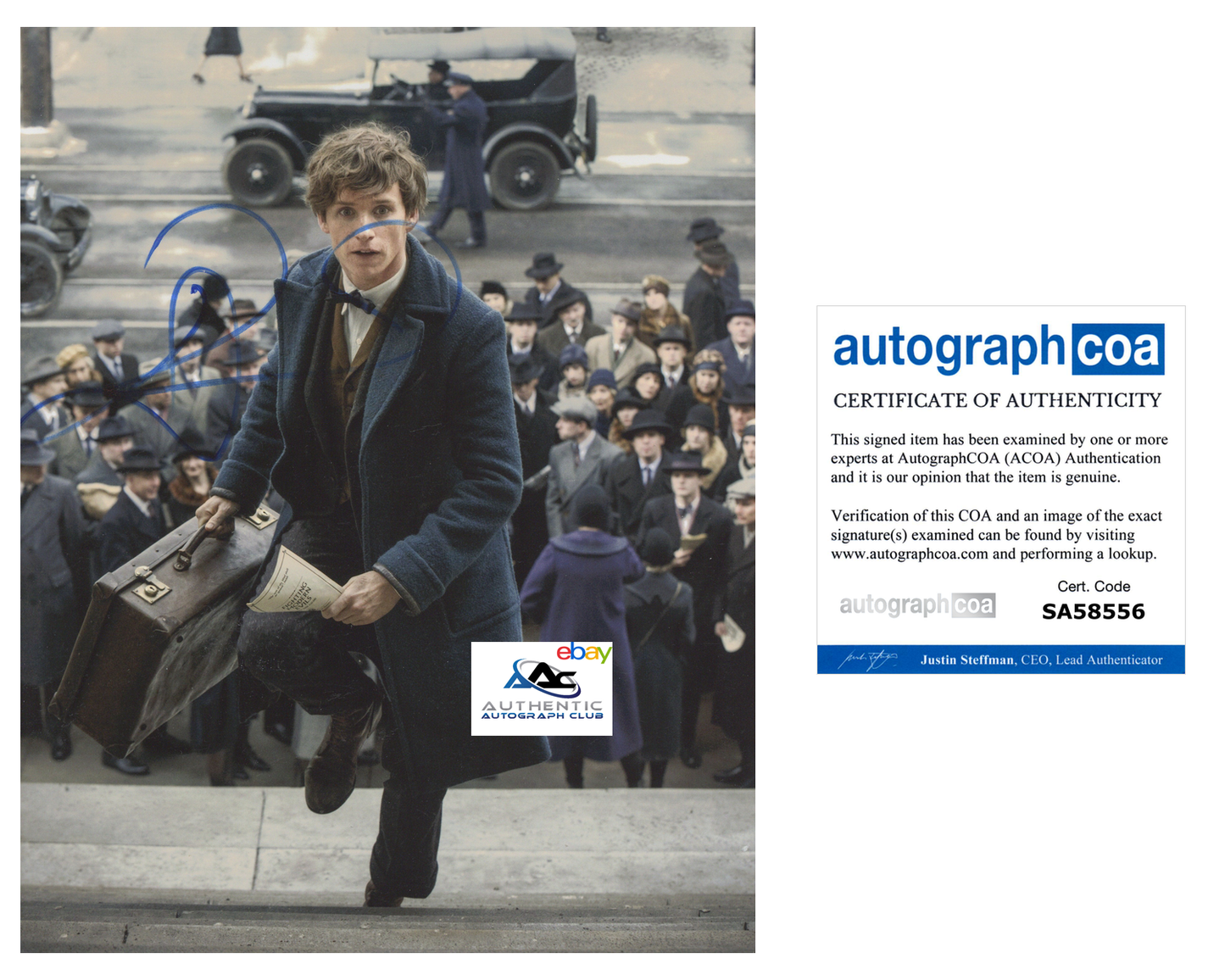 EDDIE REDMAYNE AUTOGRAPH SIGNED 8x10 PHOTO NEWT SCAMANDER FANTASTIC BEASTS ACOA