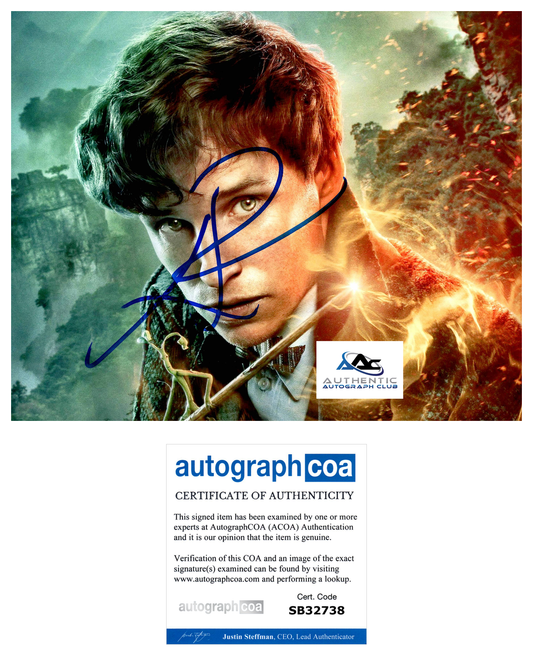 EDDIE REDMAYNE AUTOGRAPH SIGNED 8x10 PHOTO NEWT SCAMANDER FANTASTIC BEASTS ACOA