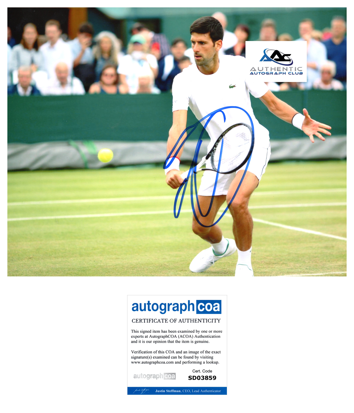 NOVAK DJOKOVIC AUTOGRAPH SIGNED 8X10 PHOTO US OPEN WIMBLEDON TENNIS CHAMPION ACOA