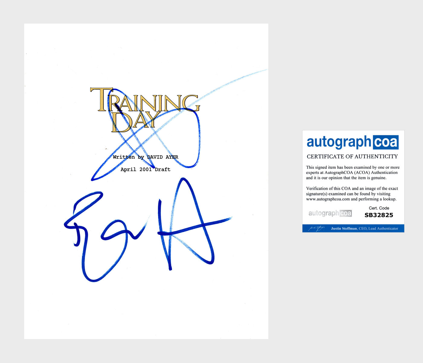 ETHAN HAWKE DENZEL WASHINGTON AUTOGRAPH SIGNED TRAINING DAY FULL SCRIPT ACOA
